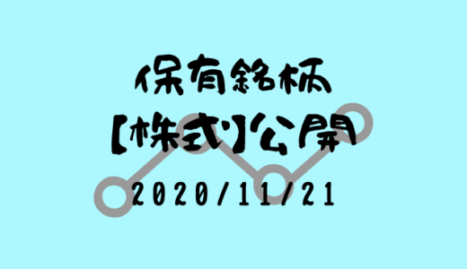 【2020年11月】日本株・外国株の保有銘柄および損益公開！