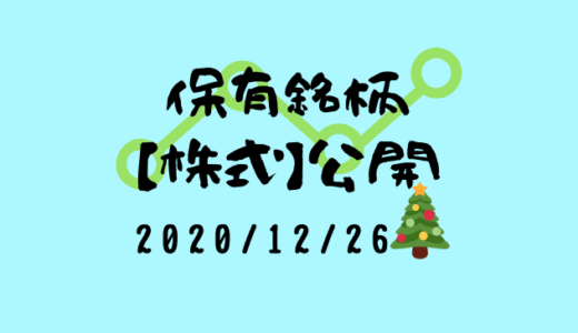 【2020年12月】日本株・外国株の保有銘柄および損益公開！