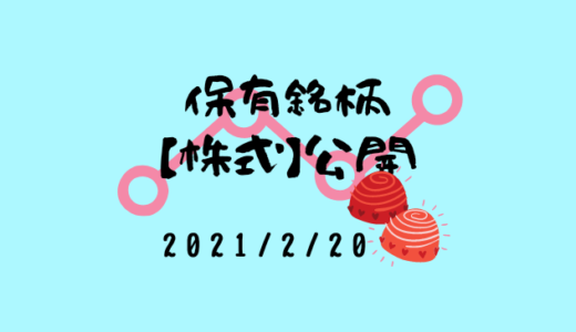 【2021年2月】日本株・外国株の保有銘柄および損益公開！