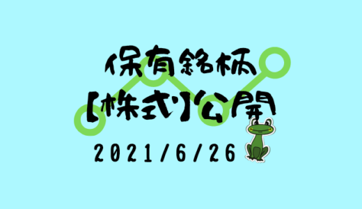 【2021年6月】日本株・外国株の保有銘柄および損益公開！