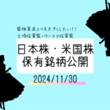 【2024年11月】日本株・米国株の保有銘柄および損益公開！