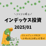 【2025年1月】ジュニアNISA・新NISAの運用実績報告【インデックス投資】