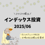 【2025年6月】ジュニアNISA・新NISAの運用実績報告【インデックス投資】